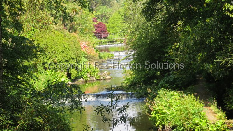 Mount Usher - F
